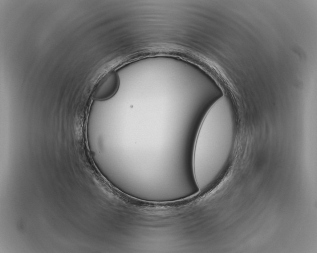 X0000113740833200909230944