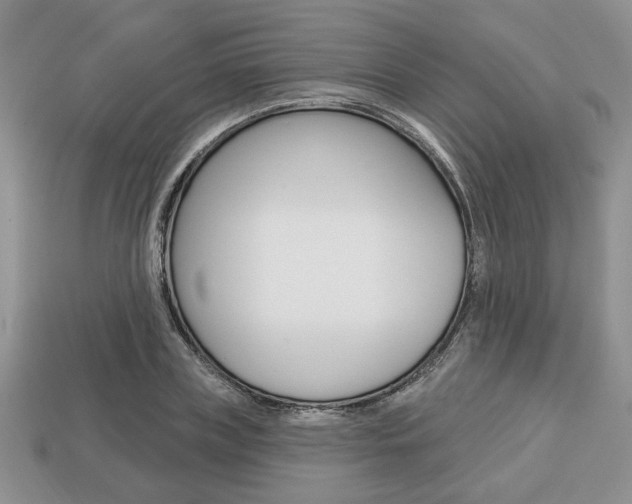 X0000113740835200909230944