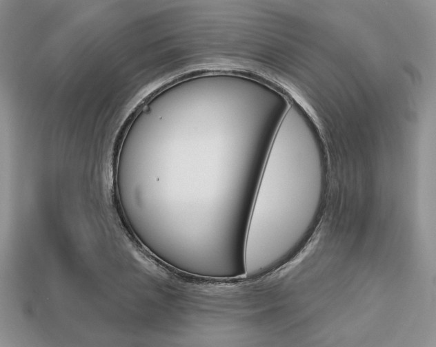 X0000113740837200909230944