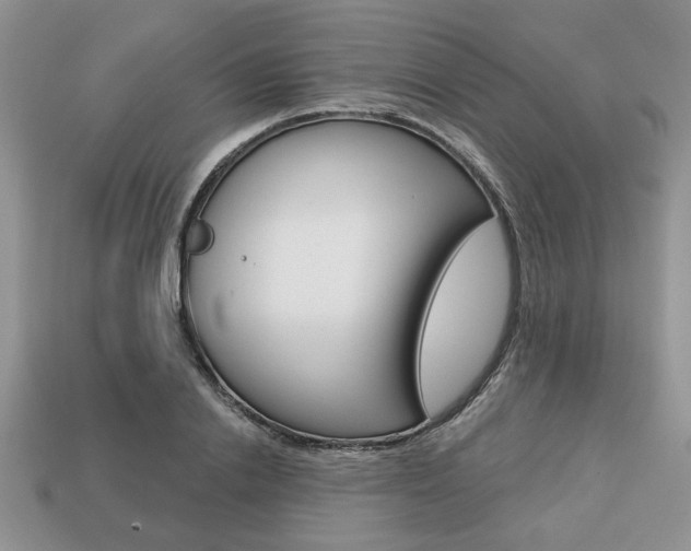 X0000113740838200909230944