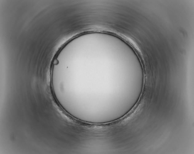 X0000113740839200909230944