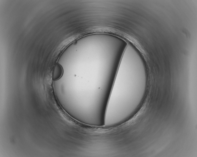 X0000113740841200909230944