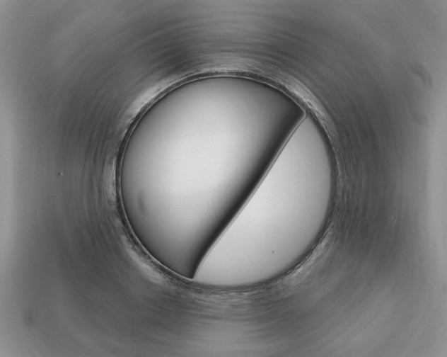 X0000113740842200909230944