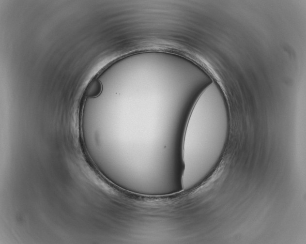 X0000113740843200909230944