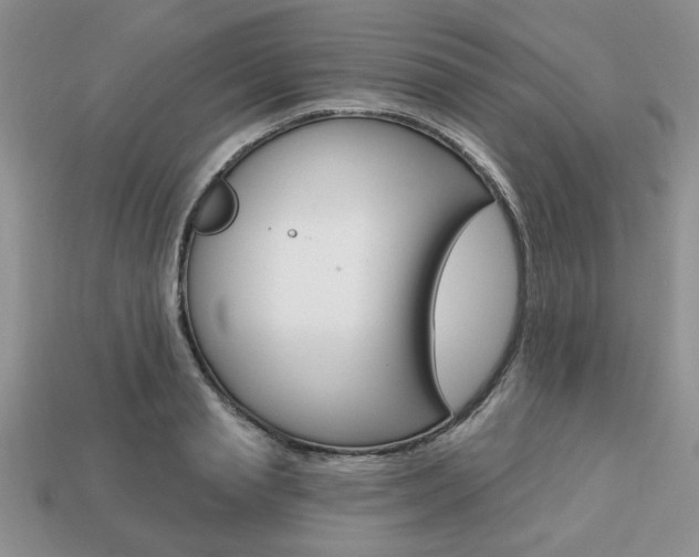 X0000113740845200909230944