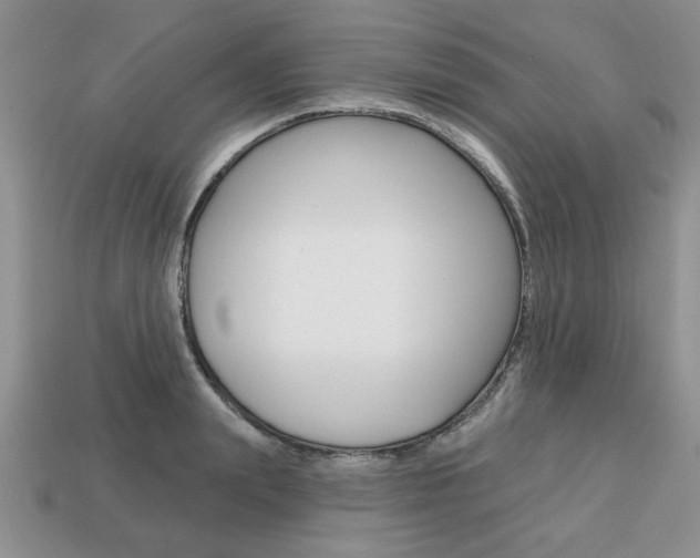 X0000113740847200909230944