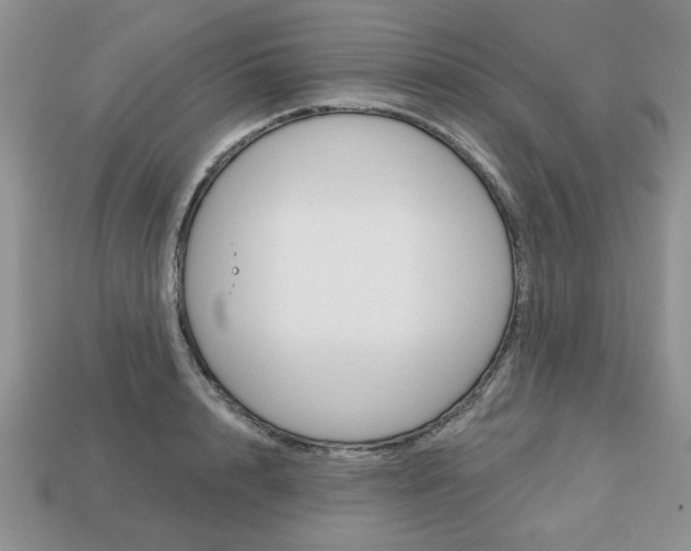 X0000113740848200909230944