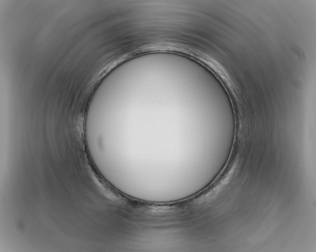 X0000113740849200909230944
