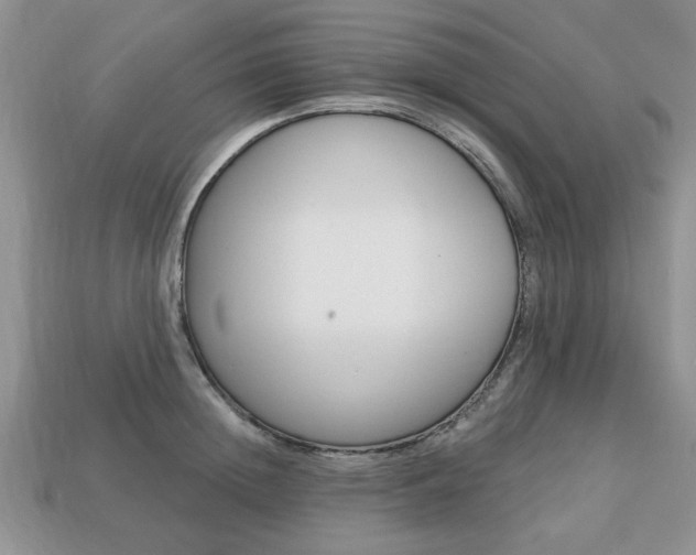 X0000113740852200909230944