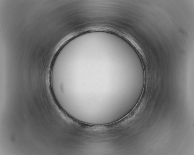 X0000113740853200909230944