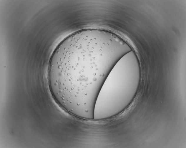 X0000113740855200909230944