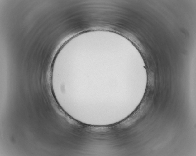 X0000113740856200909230944