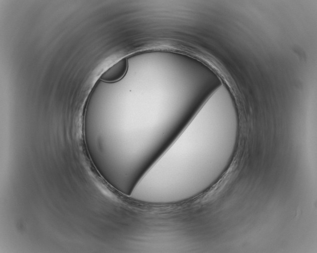X0000113740858200909230944