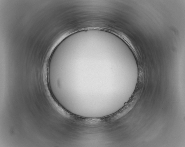 X0000113740859200909230944