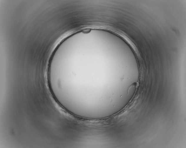 X0000113740861200909230944