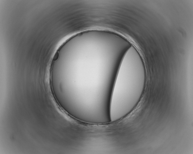 X0000113740862200909230944