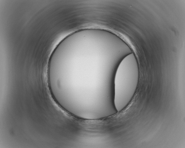 X0000113740863200909230944