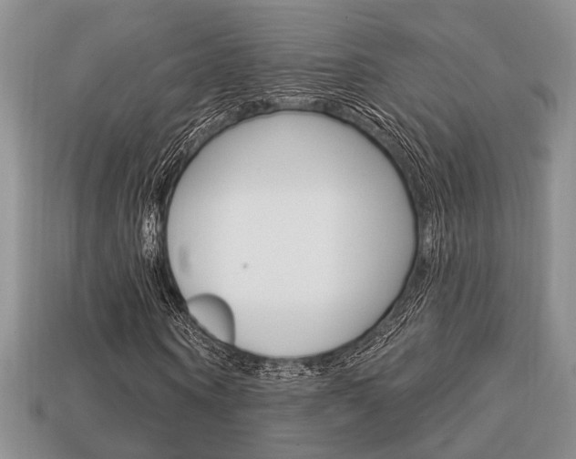 X0000113740866200909230944