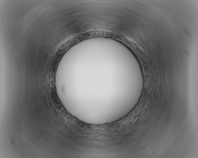 X0000113740870200909230944