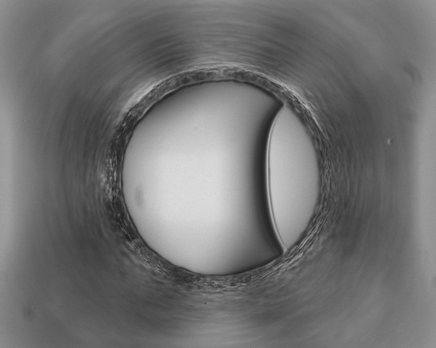 X0000113740871200909230944