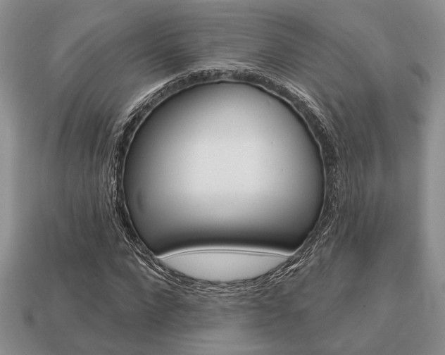 X0000113740872200909230944