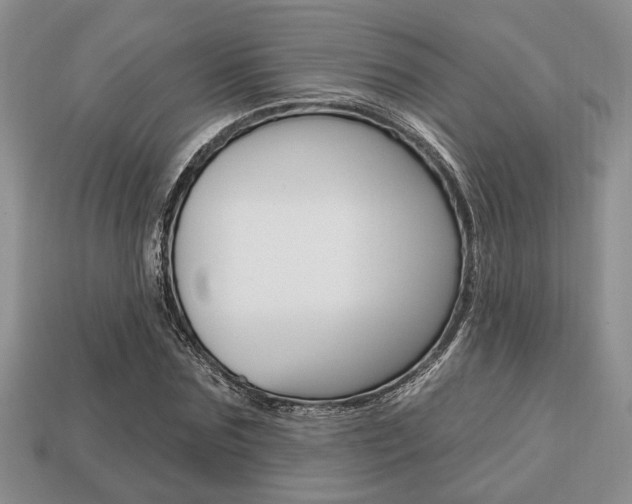 X0000113740875200909230943