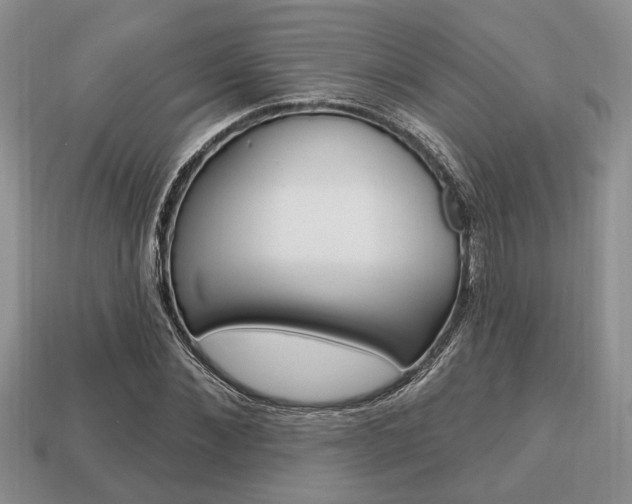 X0000113740876200909230943