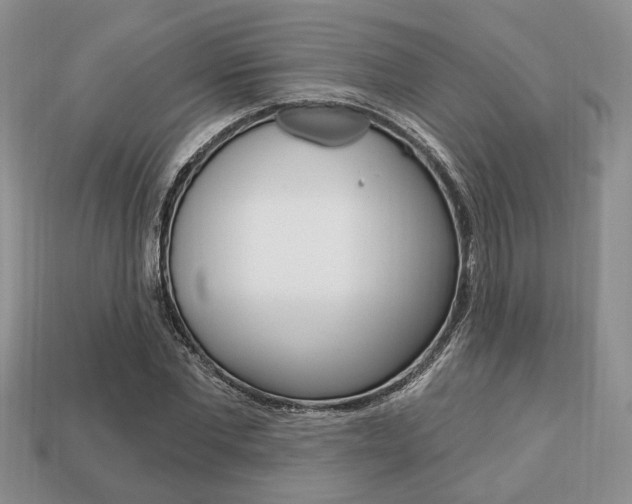 X0000113740877200909230943