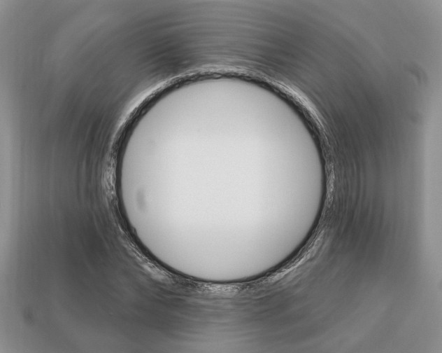 X0000113740878200909230943