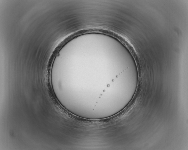 X0000113740879200909230943