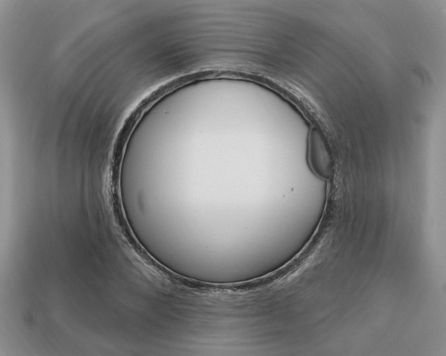 X0000113740880200909230943