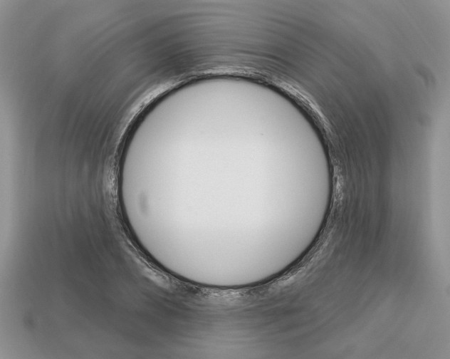X0000113740882200909230943
