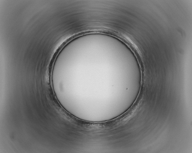X0000113740883200909230943