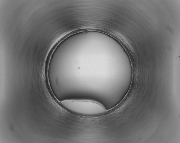 X0000113740884200909230943