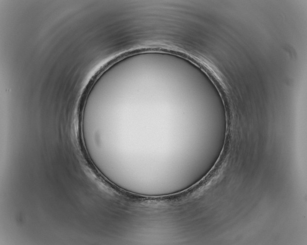 X0000113740888200909230943