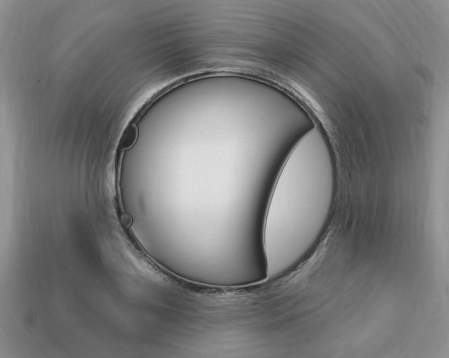 X0000113740891200909230943