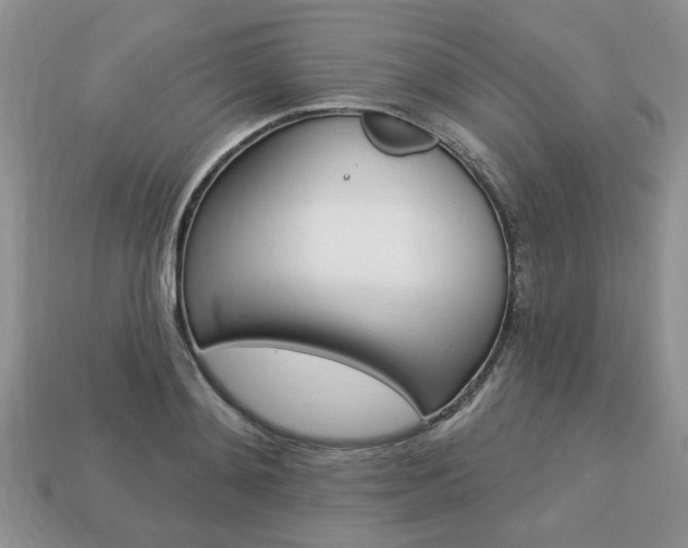 X0000113740892200909230943