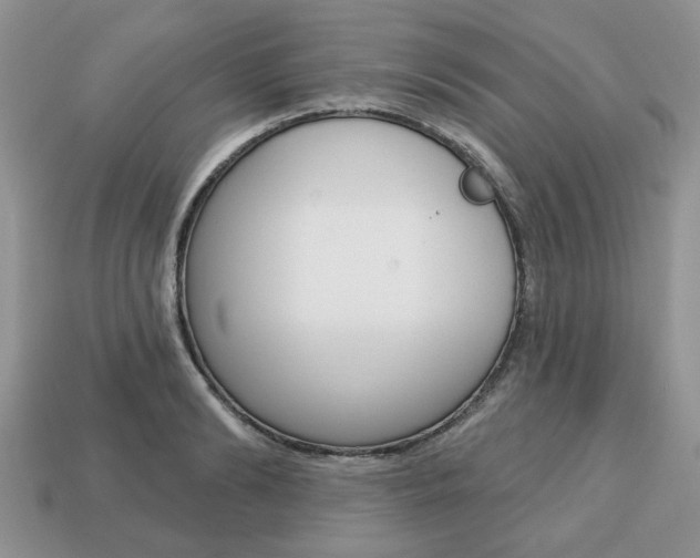 X0000113740894200909230943