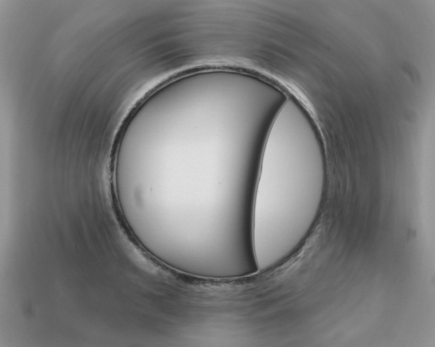 X0000113740895200909230943