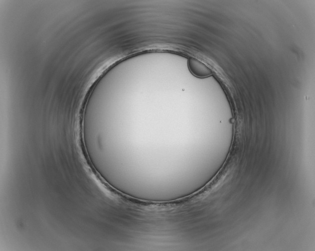 X0000113740898200909230943