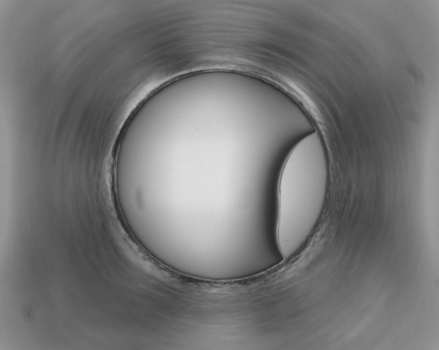X0000113740899200909230943