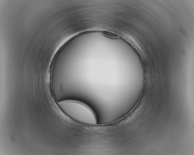 X0000113740900200909230943