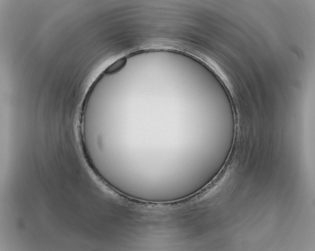 X0000113740901200909230943