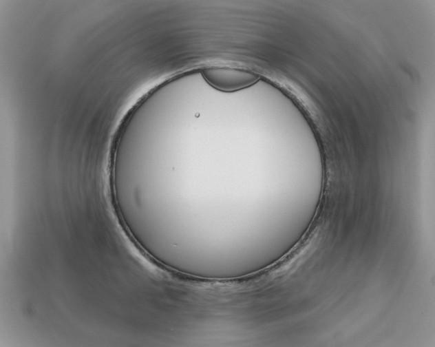 X0000113740902200909230943