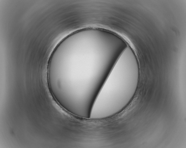 X0000113740903200909230943