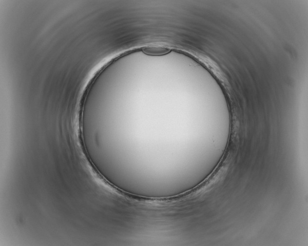 X0000113740904200909230943