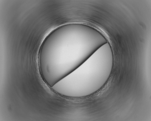 X0000113740907200909230943