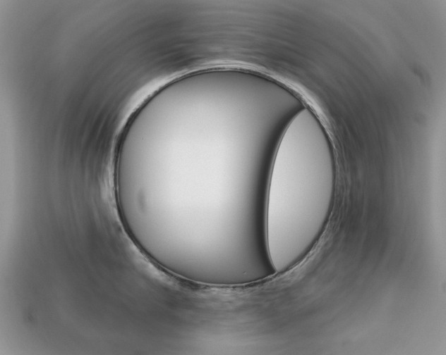 X0000113740910200909230943