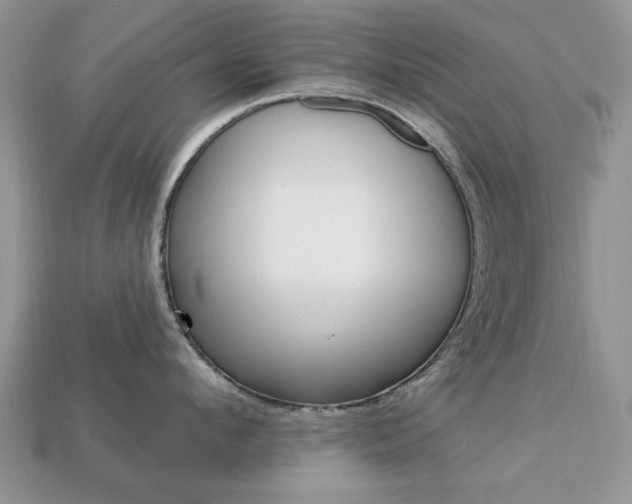 X0000113740912200909230943
