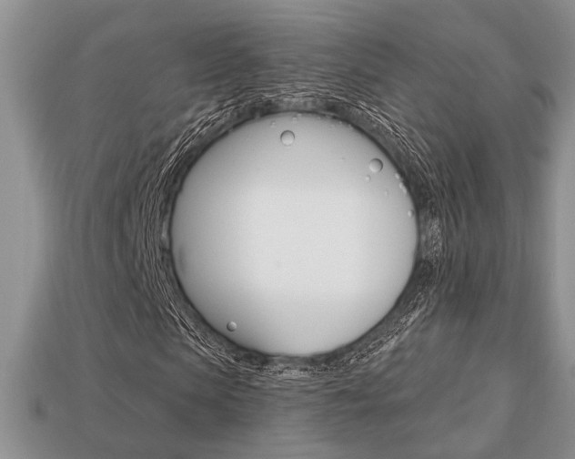 X0000113740913200909230942